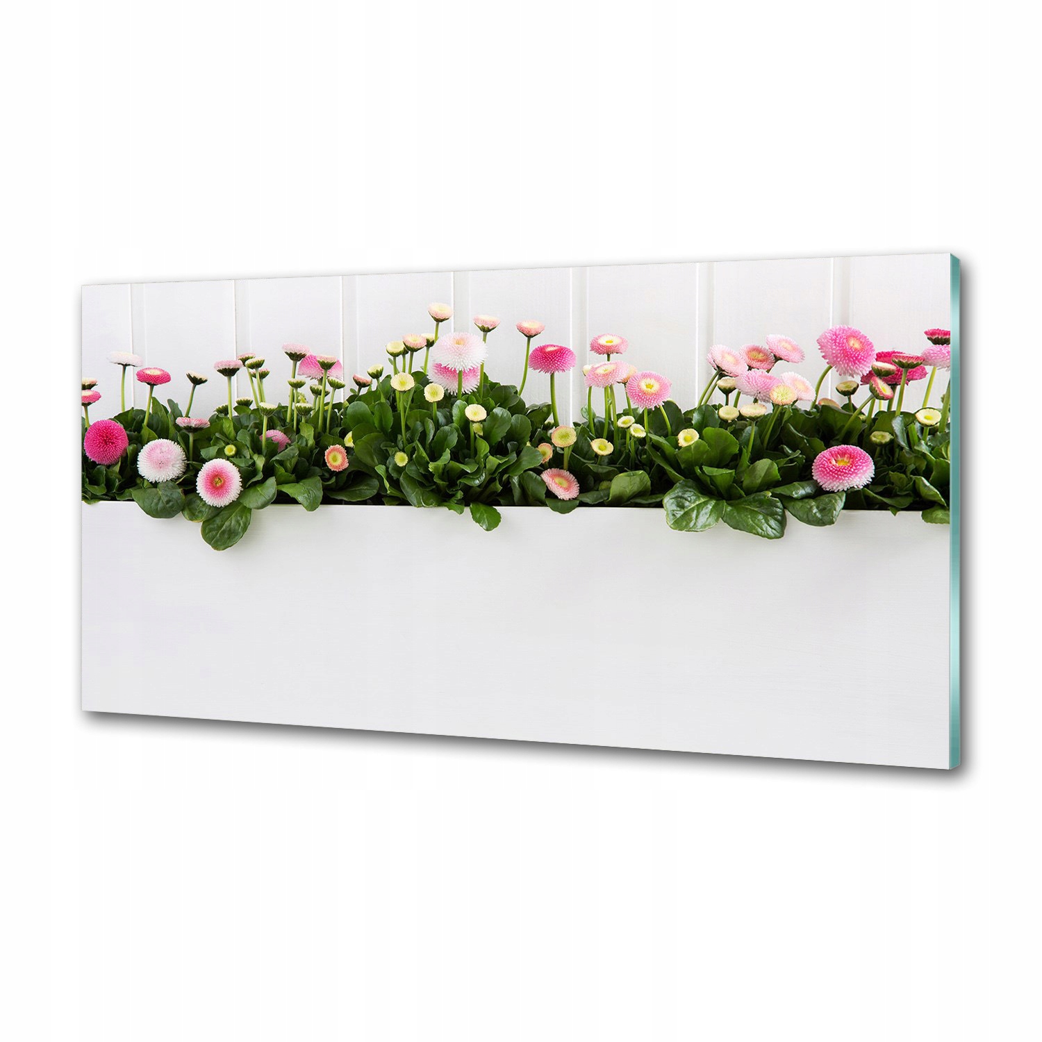 Panel do kuchyně Růžové sedmikrásky 100 x 50 cm Lepidlo