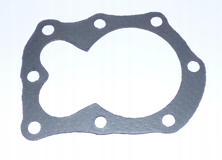 USZCZELKA GŁOWICY BRIGGS&STRATTON