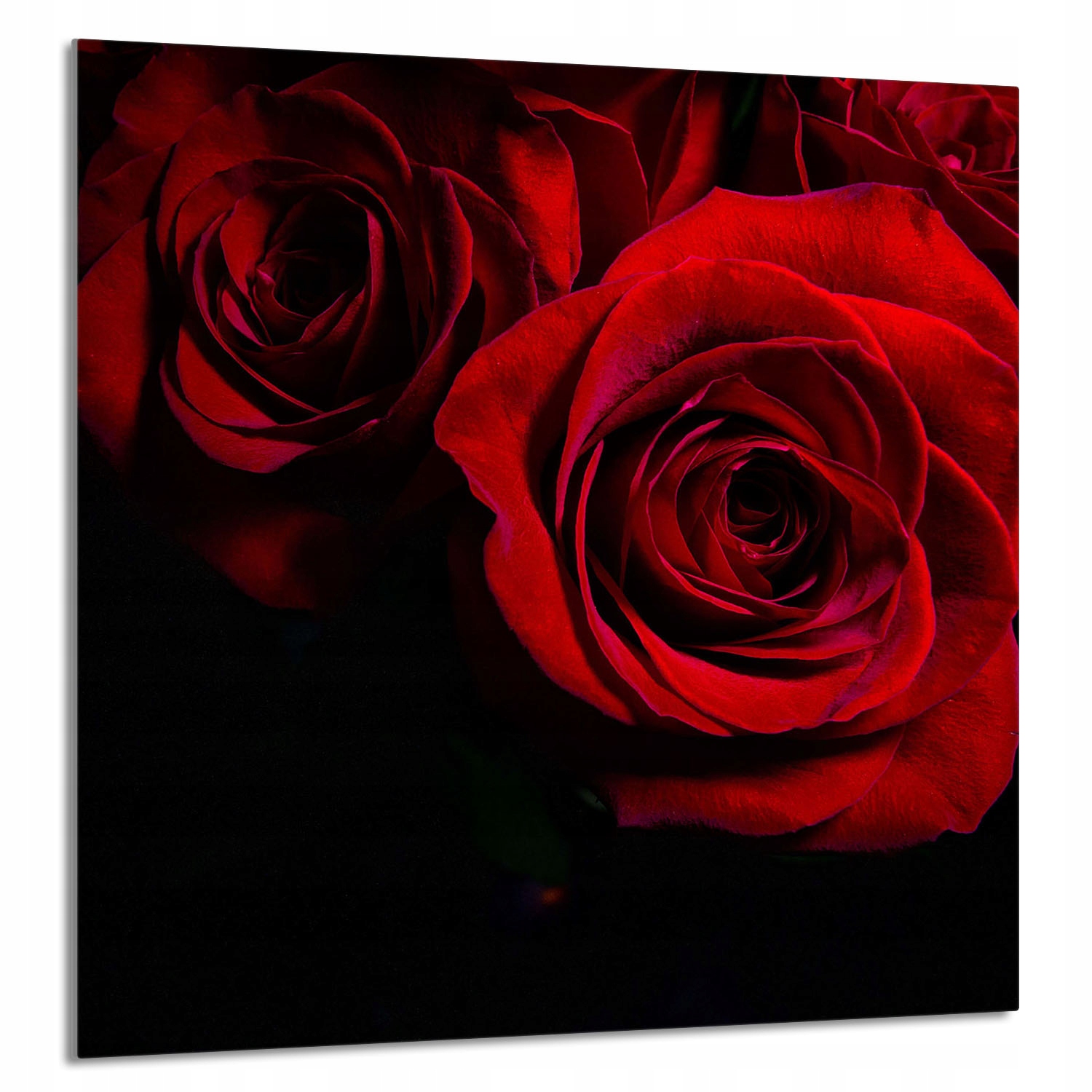 Skleněný Panel Do Kuchyně 60x65 Růže Tvrzené Sklo