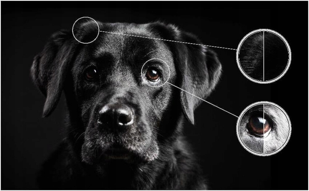 Telewizor TCL 85C845 MINILED 4K 144Hz Google TV Przekątna ekranu 0.02 cm