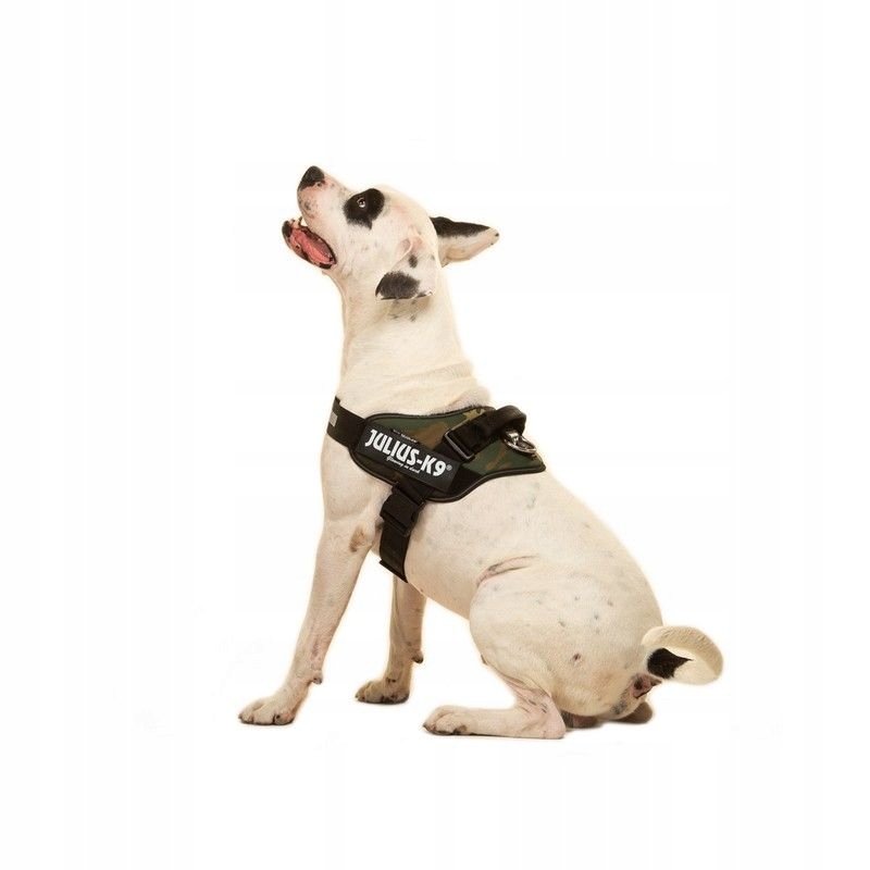 Szelki dla psa Julius-K9 L 23-30kg 63-85cm