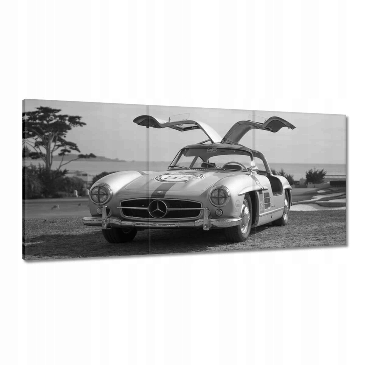 Obraz 210x100 Mercedes Gullwing