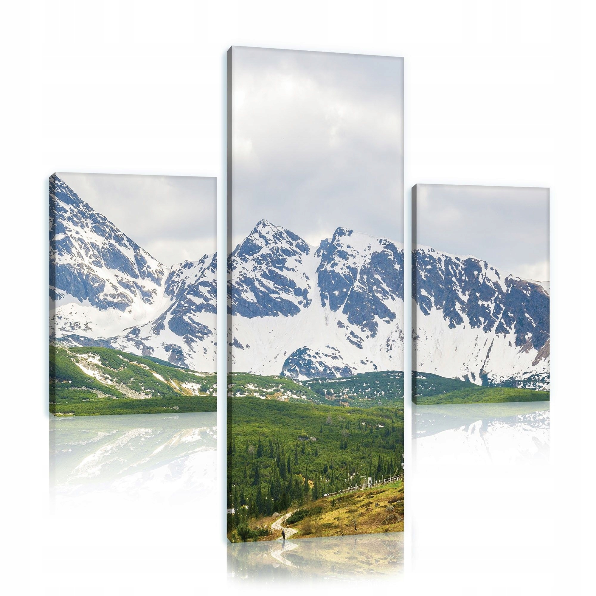 Obraz 80x80 horská krajina Tatry Karpaty příroda hory sníh les zeď