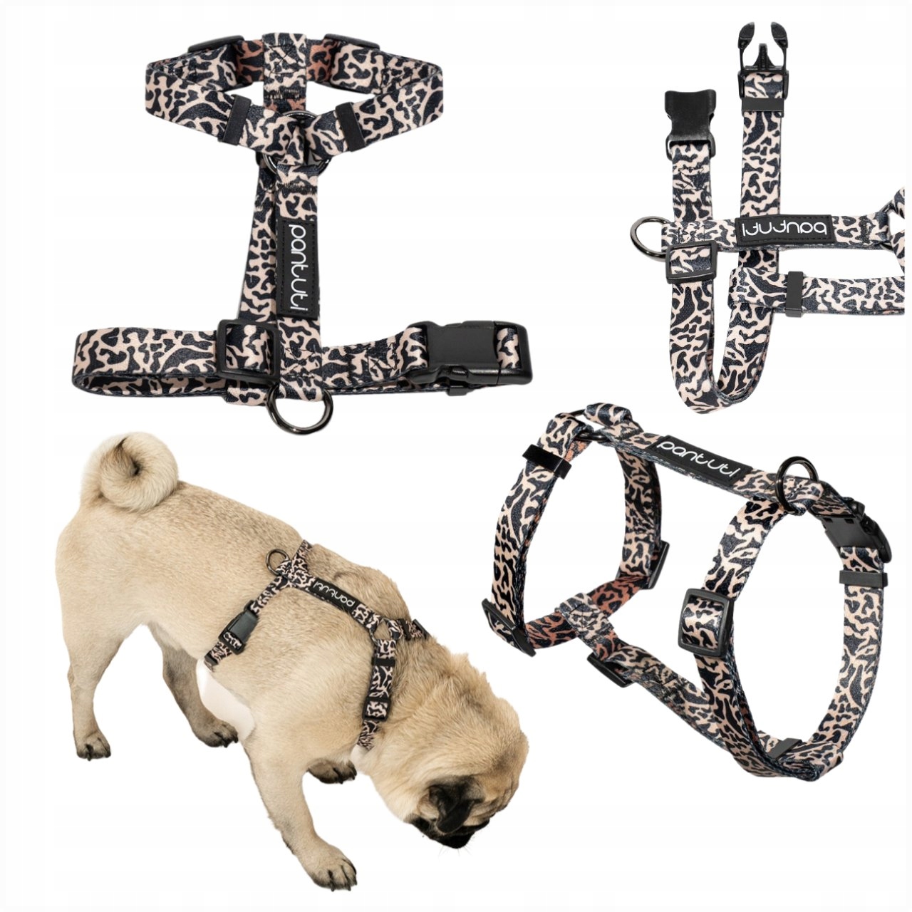 Levně Postroje Pro Psa Guard Postroje Pro Malého Psa Silné Beztlakové Safari Xs