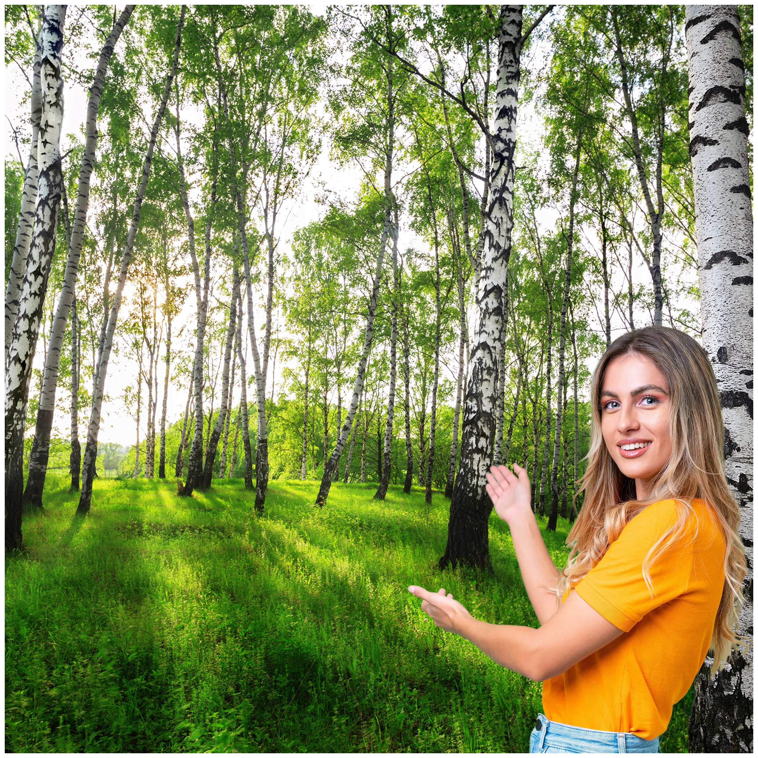 Fototapeta 3D Obývačka Spálňa Breza Les Stromy 588x260 BLD03F