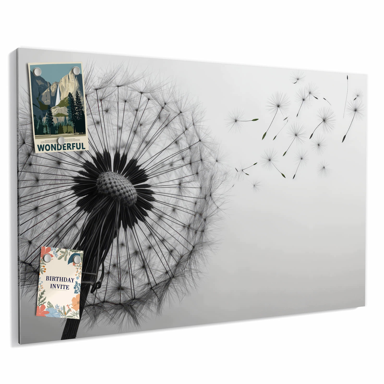 Magnetická tabule Pampeliška Wiatr 60 × 40 cm