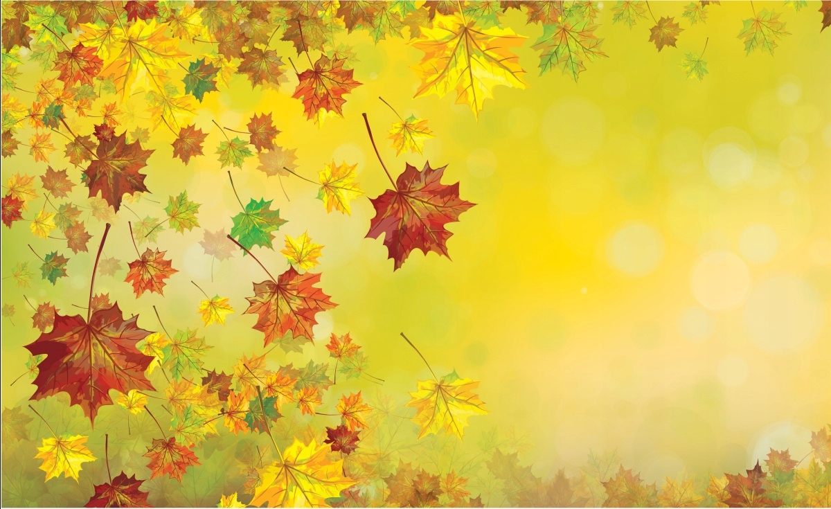 

Fototapeta Flizelinowa Liście Jesień 416x254