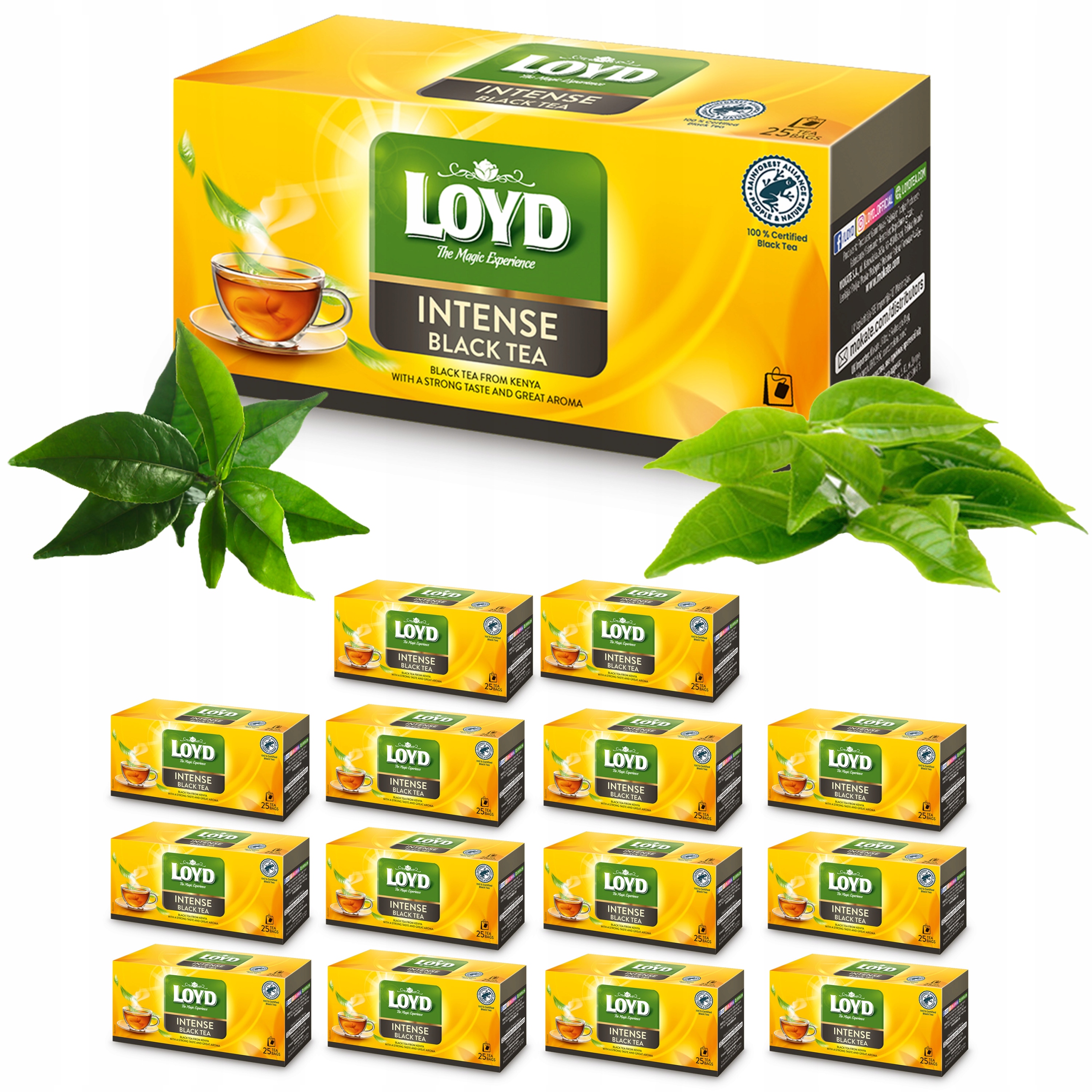 14 Sztuk Intensywna Czarna Herbata Ekspresowa Black Tea 25T Loyd