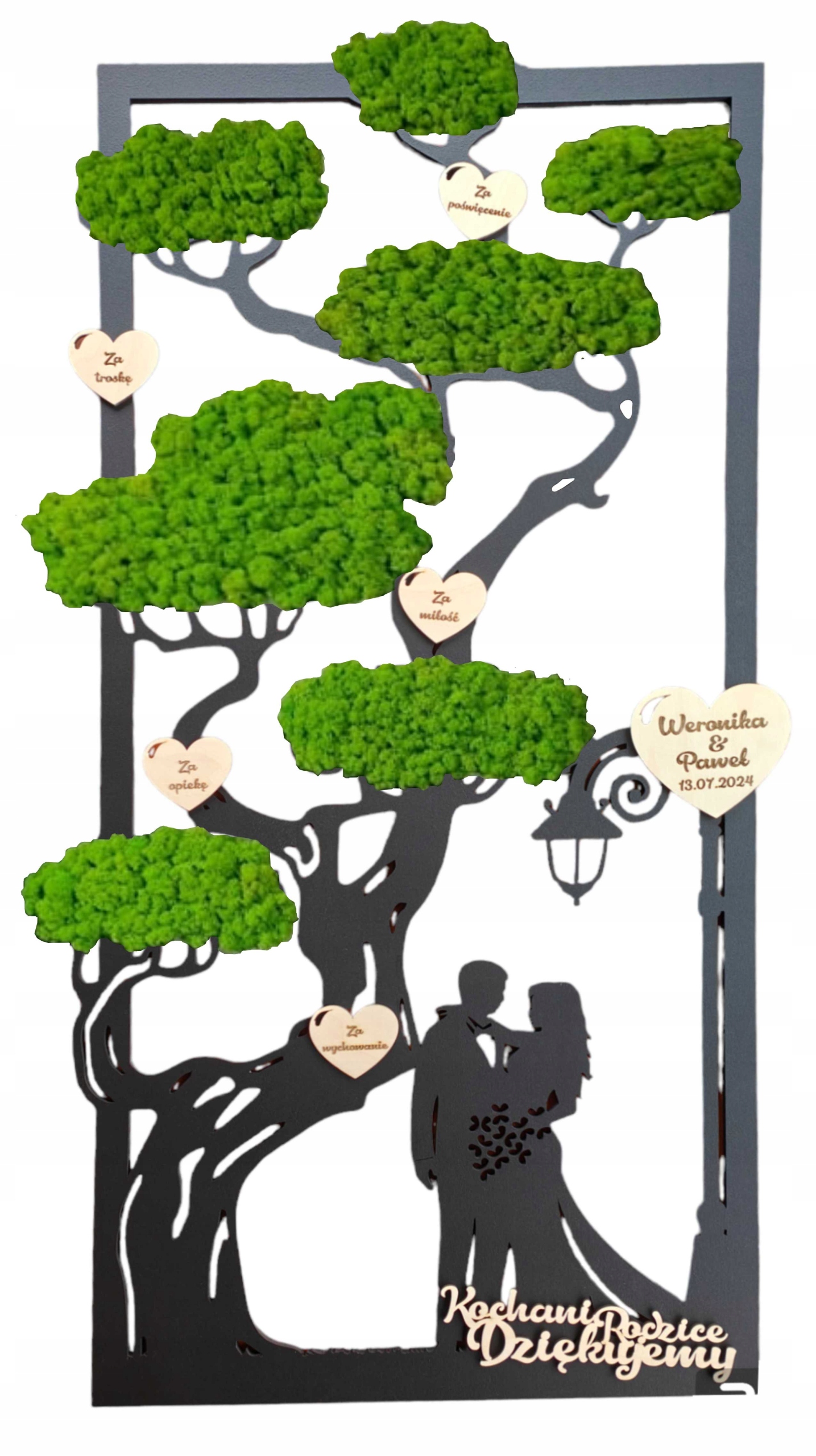 Podziękowanie 50 PARA MŁODA drzewo bonsai z mchem chrobotkiem mech premium Marka inna