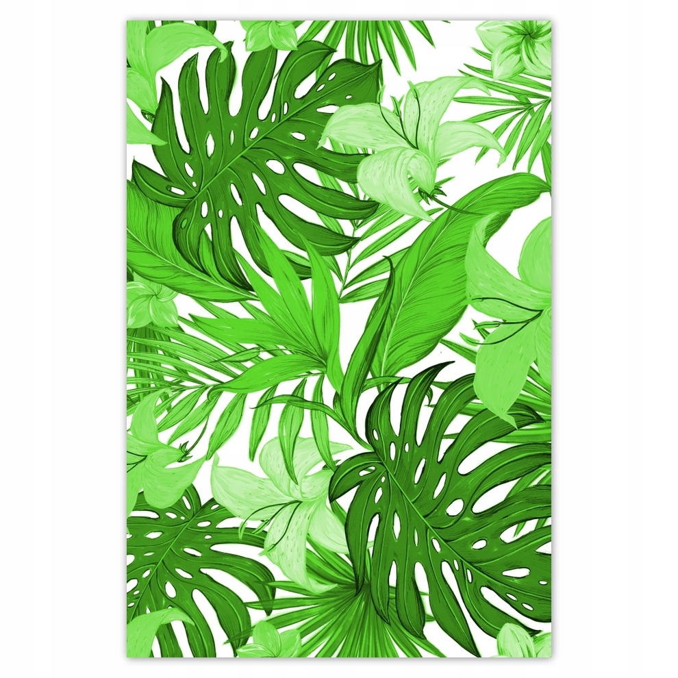 

Naklejki 80x120 Monstera