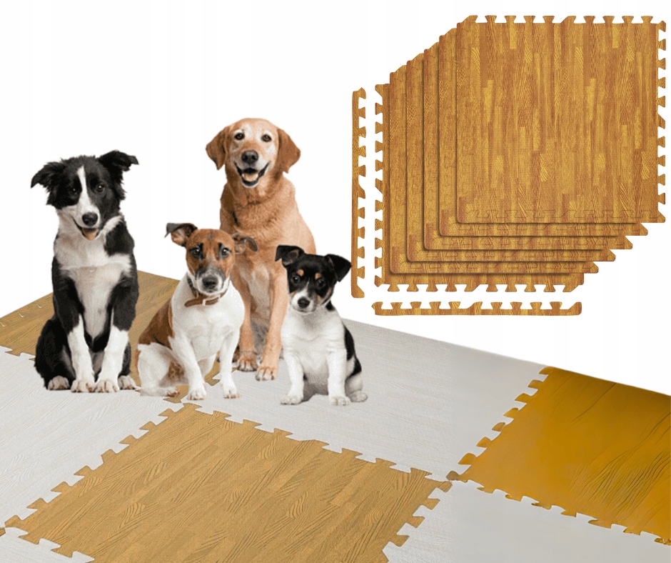 Levně Podložka 1 cm pro psa učení puzzle ochrana 4 barvy 6 kusů