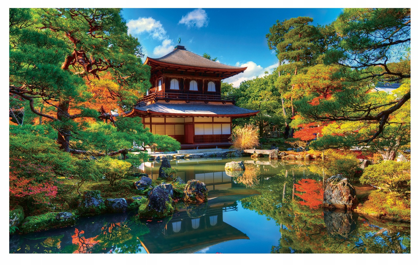 Fototapeta Japonská Zahrada Příroda Rostliny 254x184