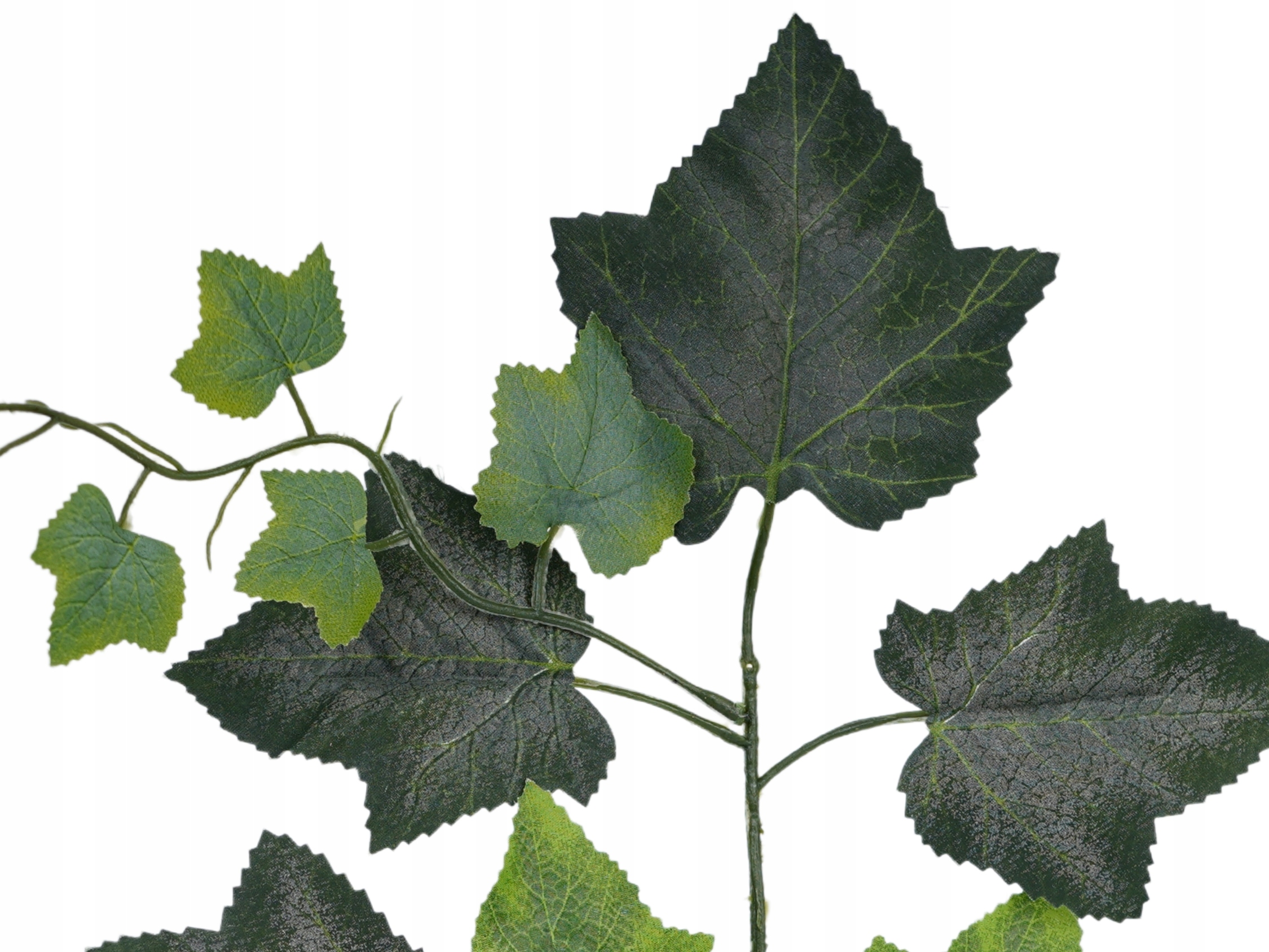 OZDOBNE LIŚCIE WINOGRON MATOWE LISTKI WINOROŚL PIĘKNE LIŚCIE NATURAL 48 cm Stan opakowania oryginalne