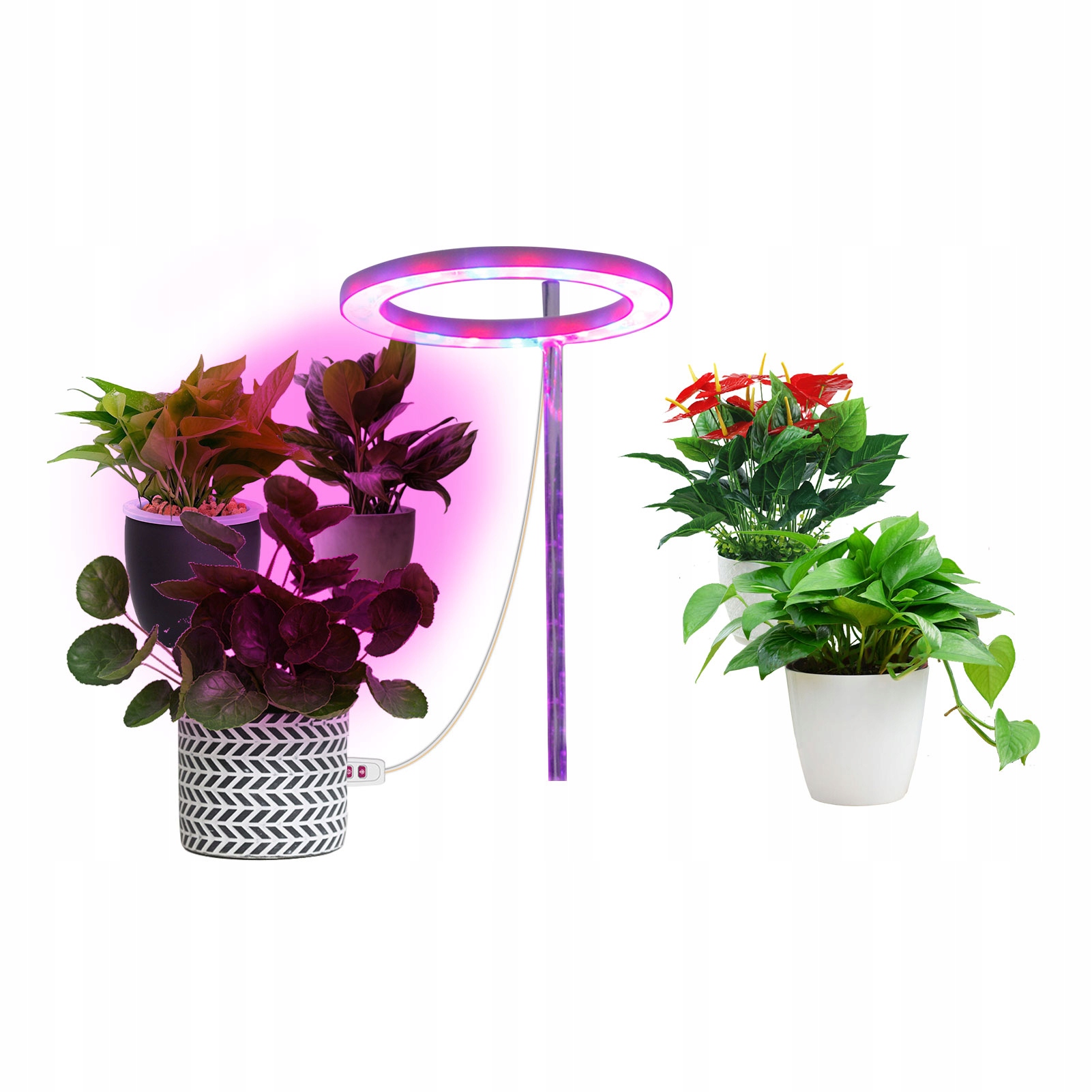 Kruh lampa pre rastliny LED sukulenty osvetlenie pre
