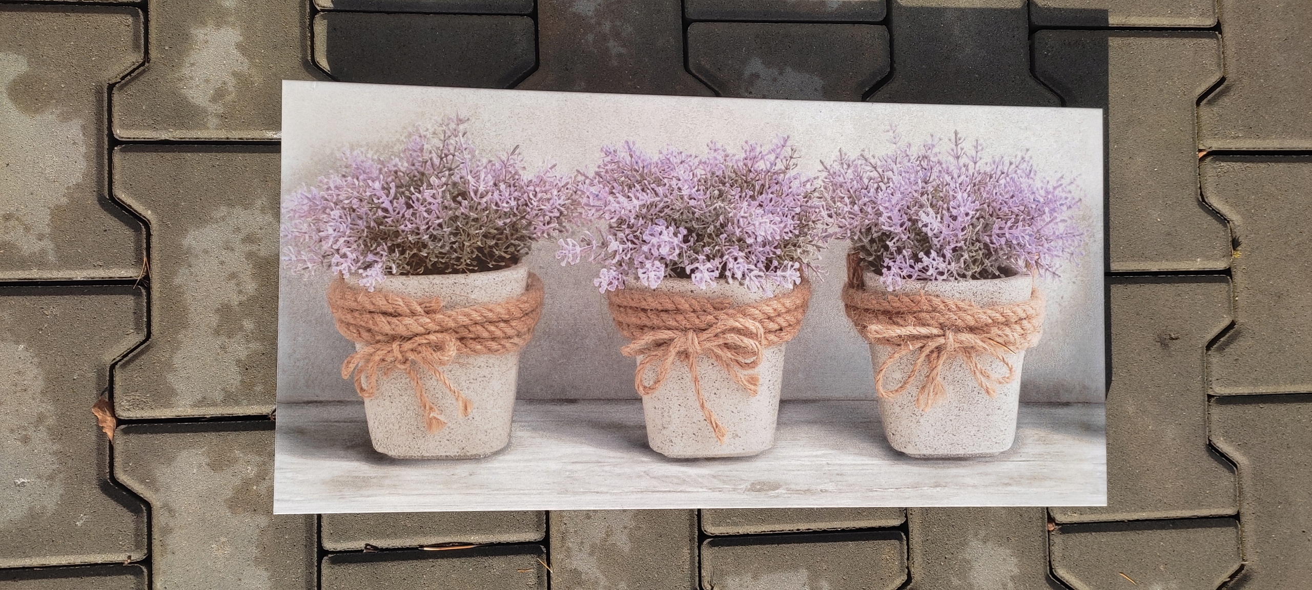 MAX DEKOR RETT. 30x60 G.2