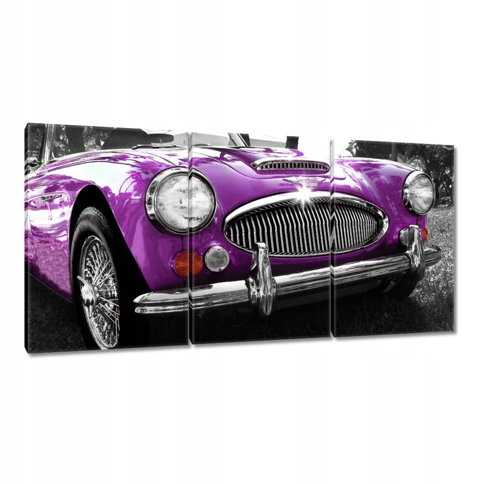 

Obrazy 120x60 Austin Healey 3000