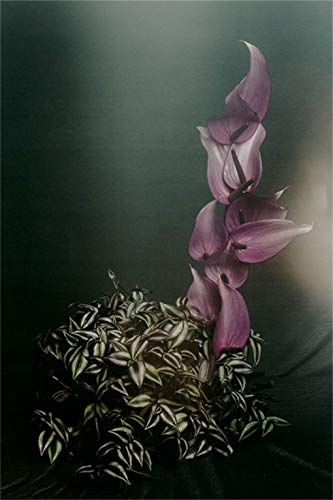 Victoria Gaiger Modern Ikebana: A New Wave in Floral Design Nośnik książka papierowa