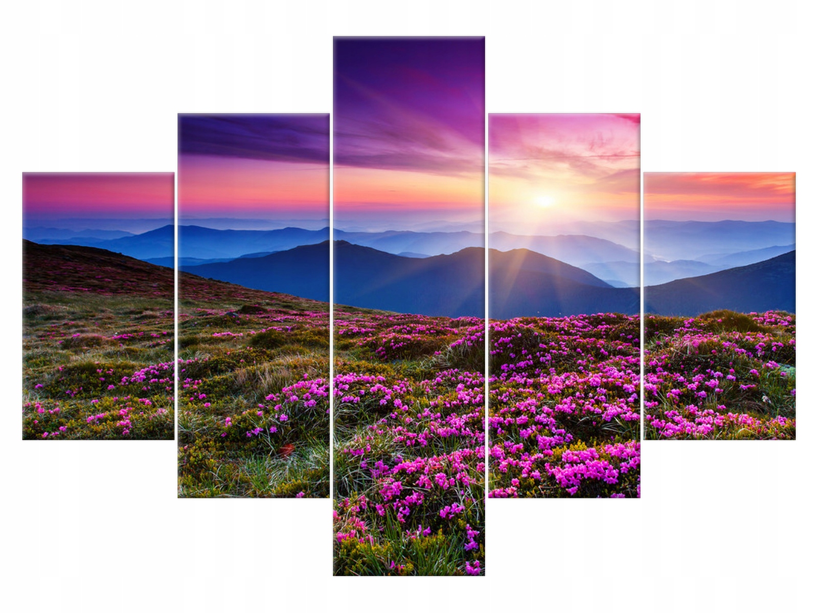 

Obraz Górska łąka Kwiaty 100x70 1322A_5A