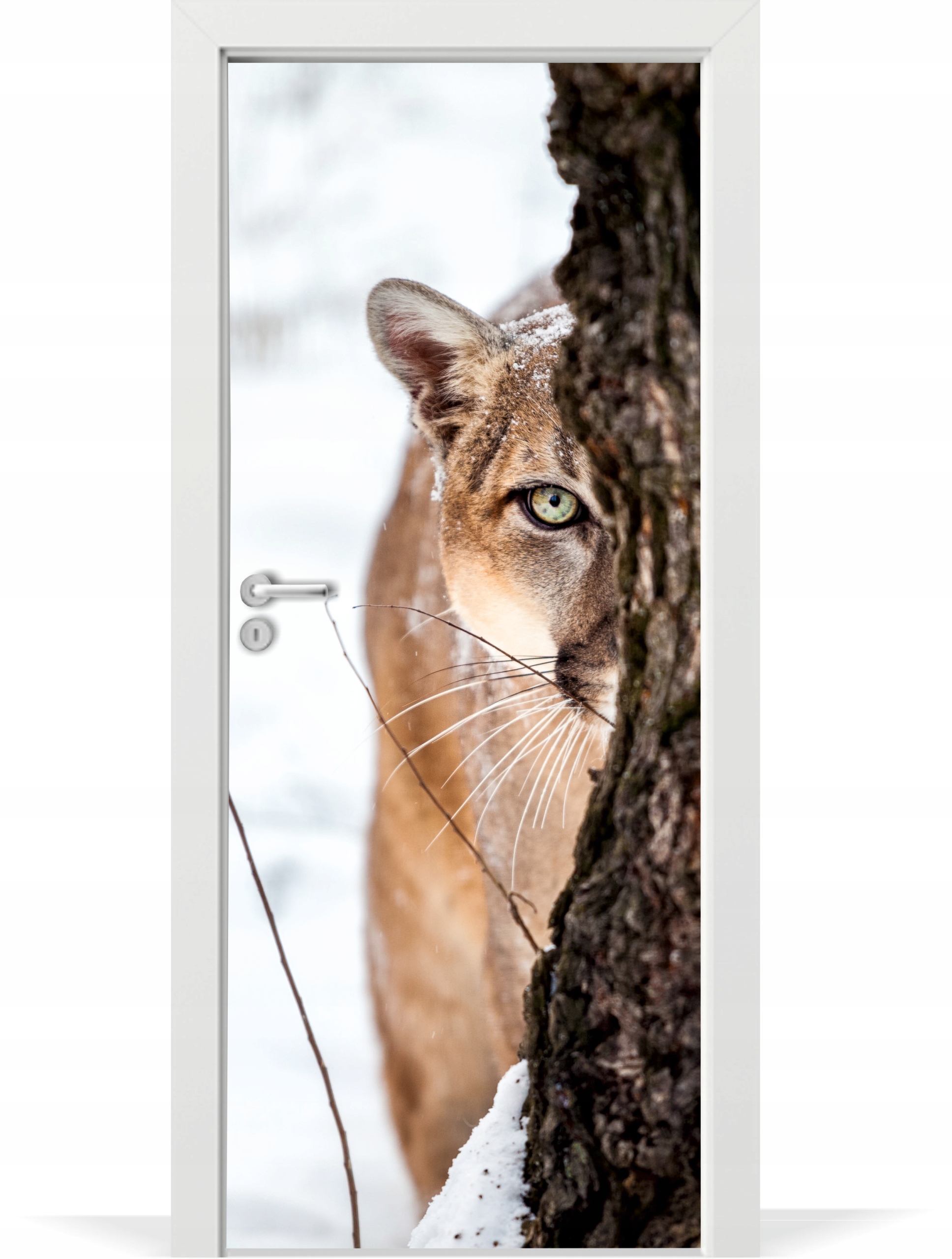 

Fototapeta samoprzylepna na drzwi Puma Górska