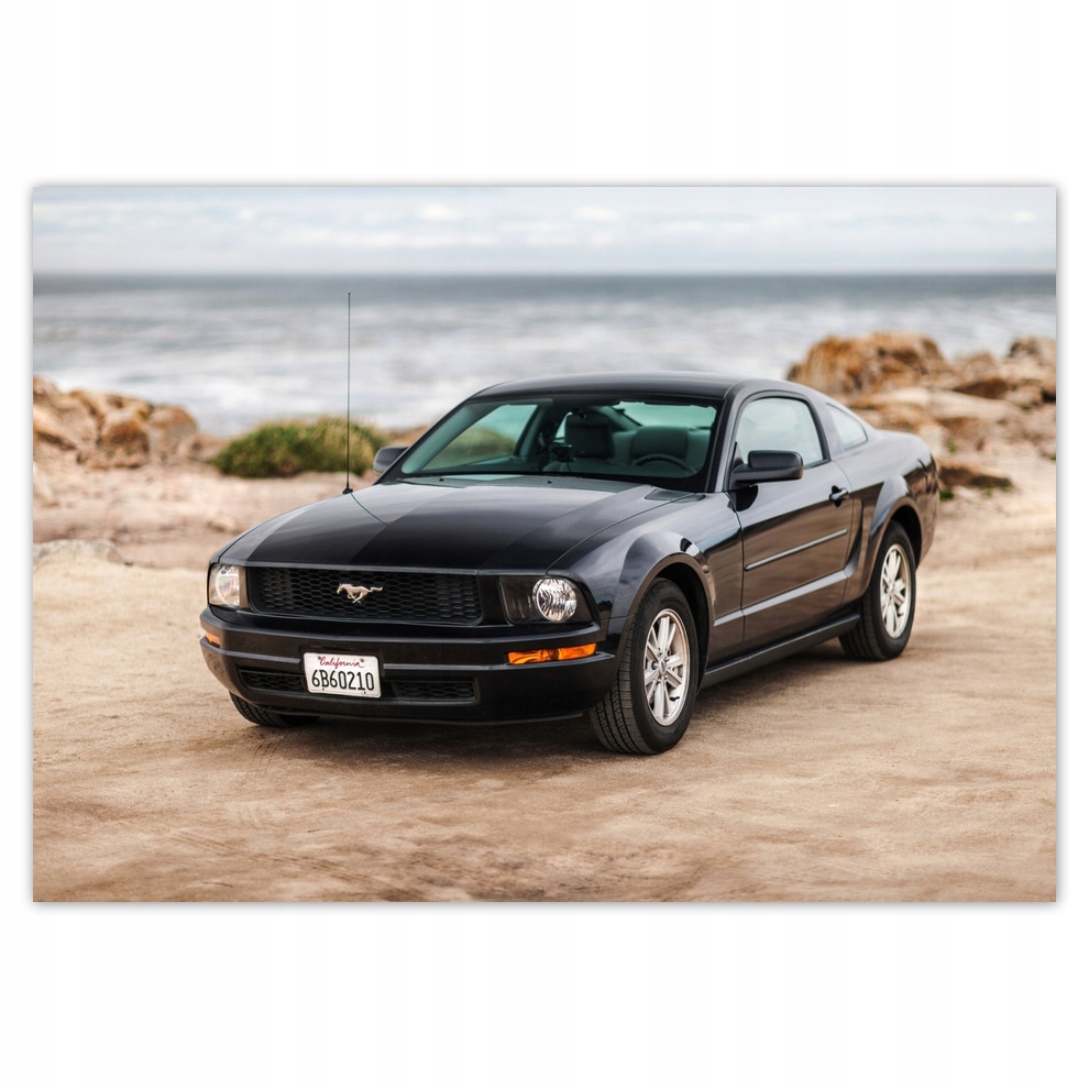 

Fototapety flizelina 312x219 Czarny Ford Mustang