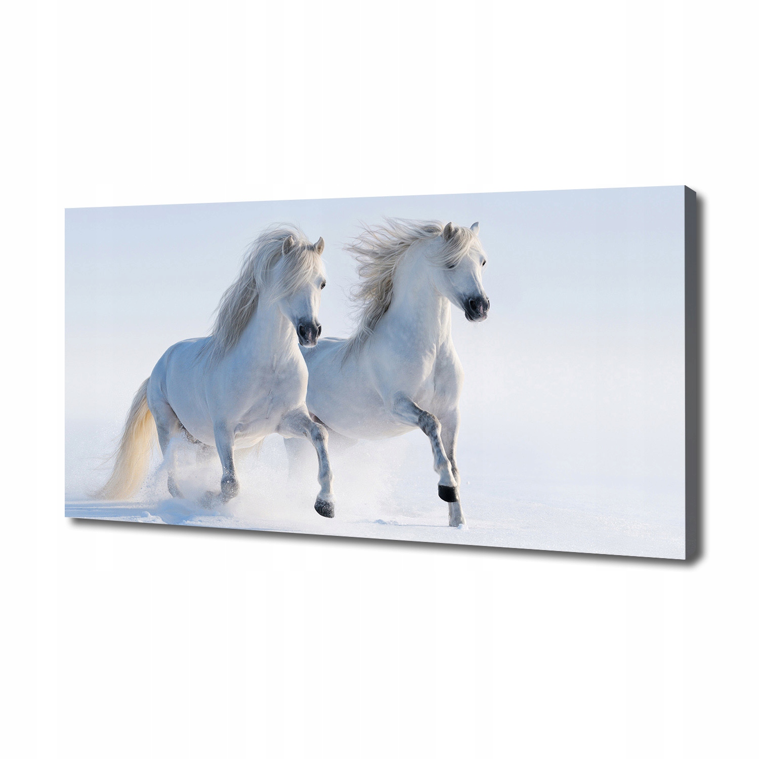 

Foto obraz na płótnie Dwa konie w śniegu 140x70 cm
