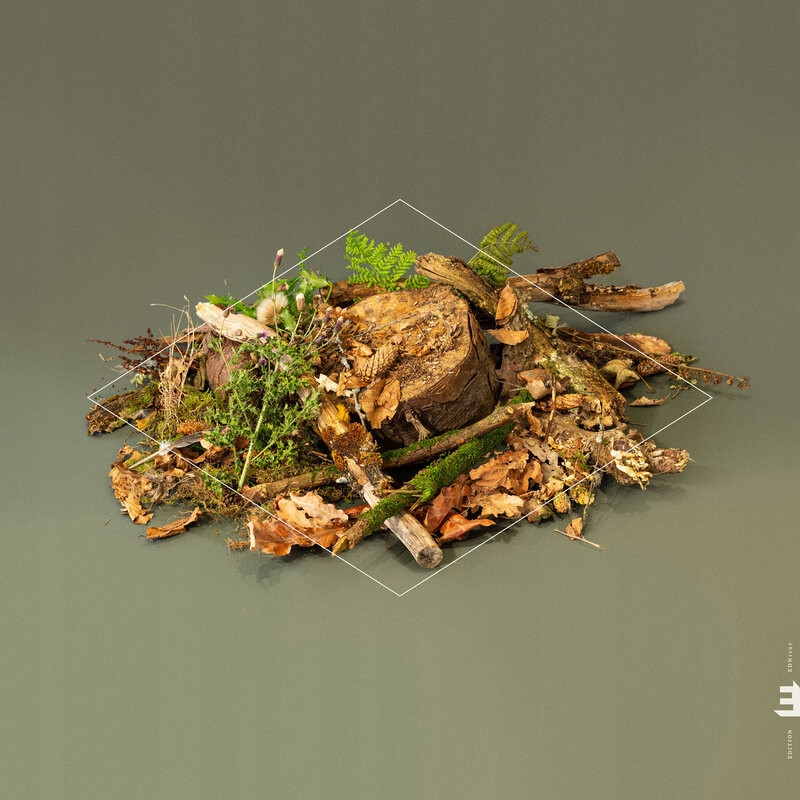 CD Fergus McCreadie Forest Floor