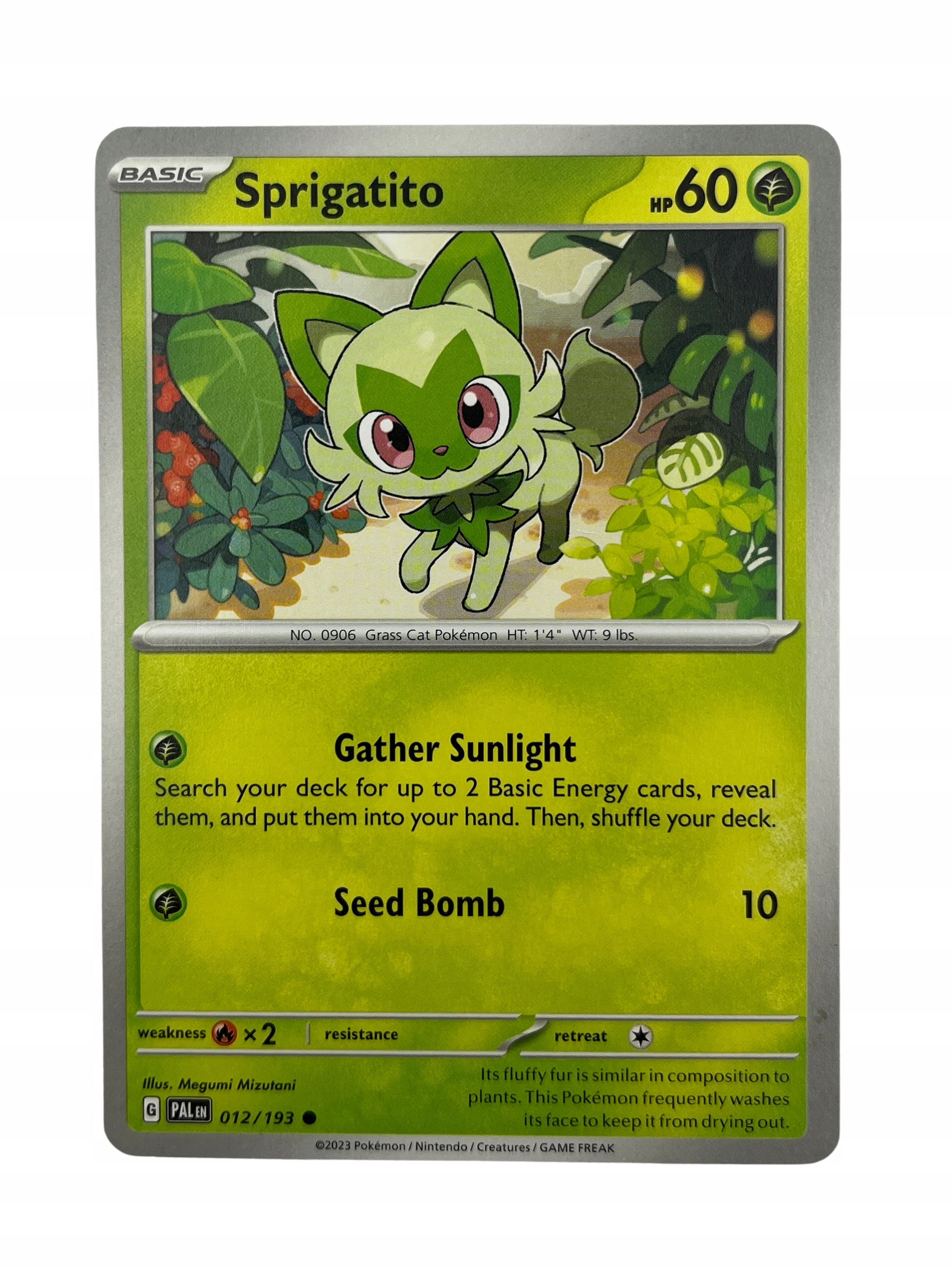 Karta Pokemon TCG | Sprigatito (PAL 012/193)) | Paldea Evovled | Common