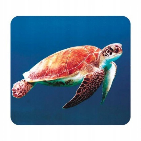 Latarka, mini projektor, morze Bohater brak