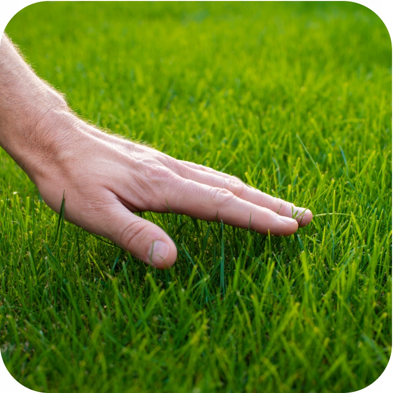 NAWÓZ DO TRAWY COMPLEX 25KG TRAWNIKA TRAWNIKÓW ROSAFERT NPK 12-12-17 Waga 25 kg