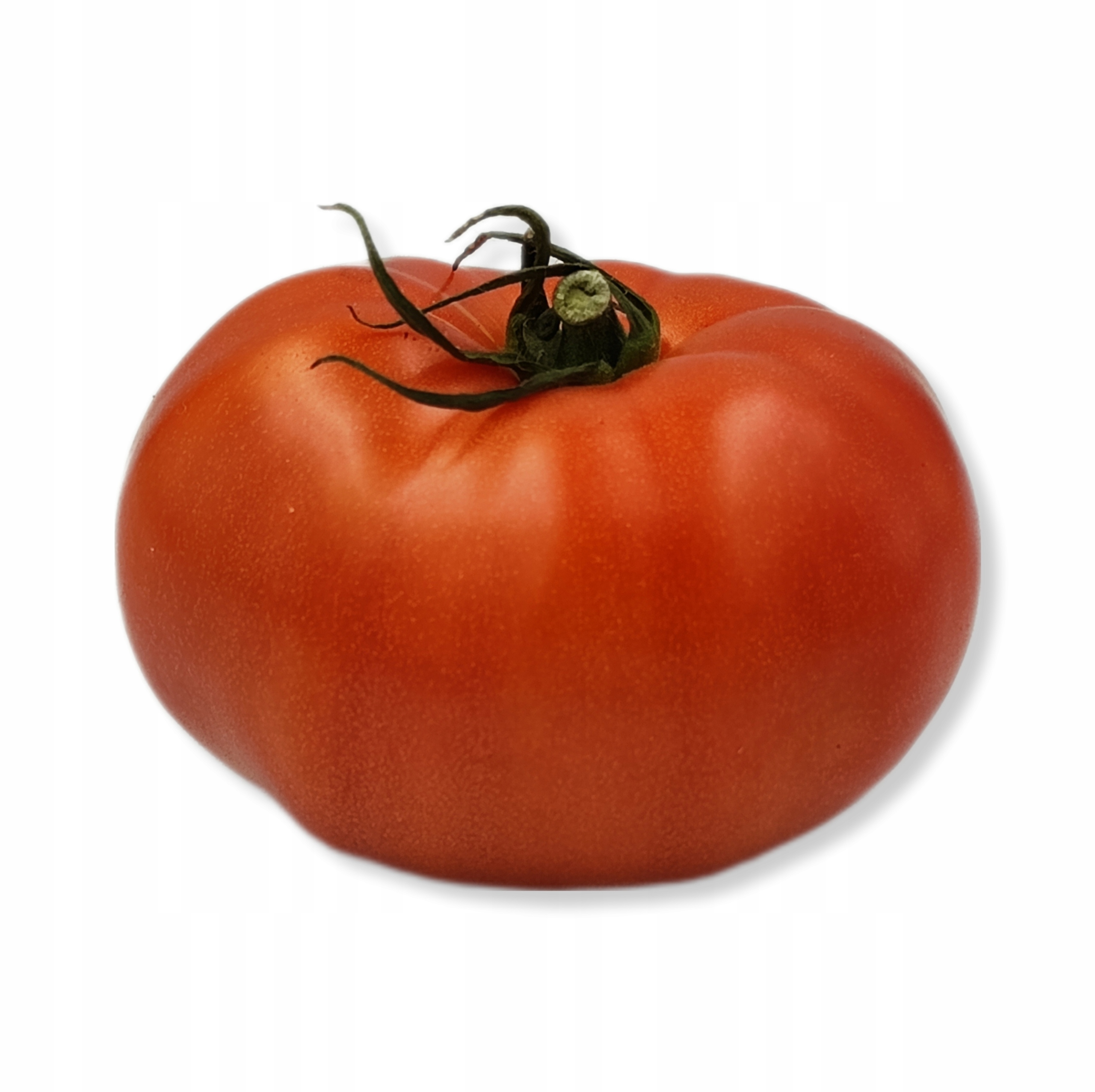 POMIDOR CZERWONY CASI HISZPANIA 1szt