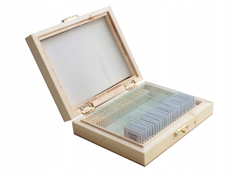 

Preparaty mikroskopowe zoologia 25 sztuk