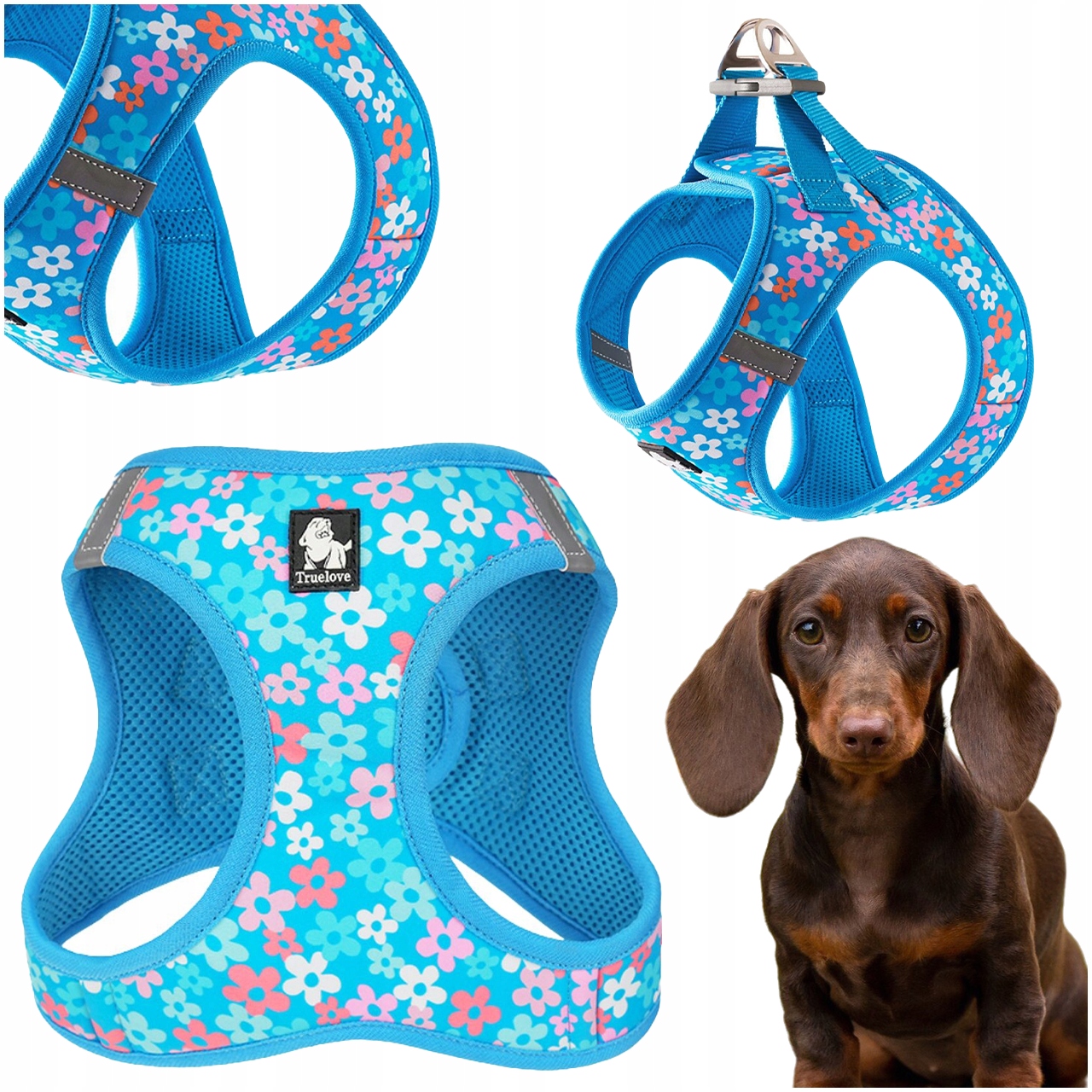 Levně Postroje Pro Malé Psy Step-in Nastavitelné Truelove Mini Malibu Modré S