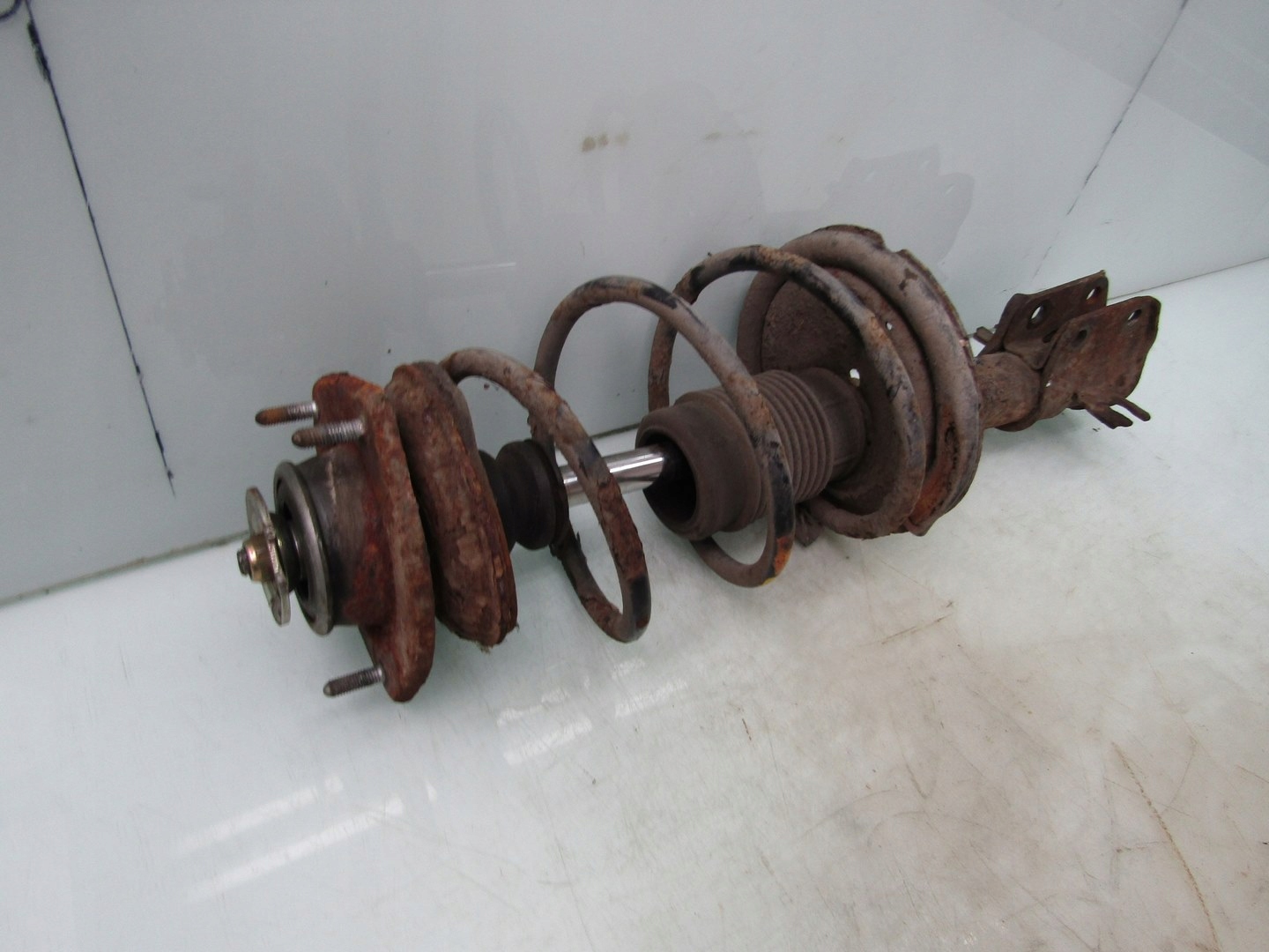 SEICENTO 1.1 99R AMORTYZATOR PRAWY PRZÓD PRZEDNI SPRĘŻYNA PRAWA PRZEDNIA Typ samochodu Samochody osobowe