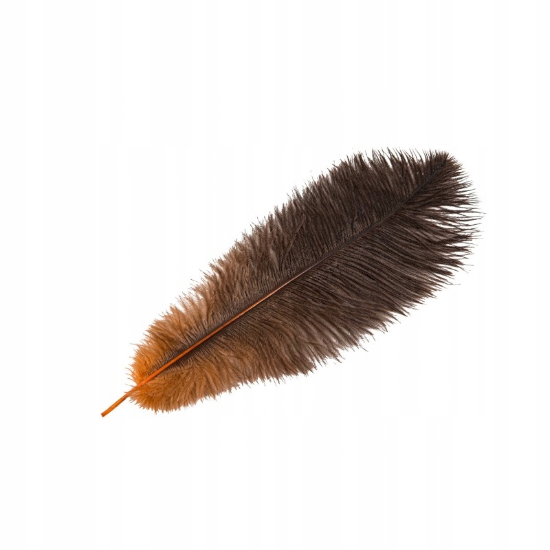 PIÓRO STRUSIE DEKORACYJNE POMARAŃCZOWE 35-45CM