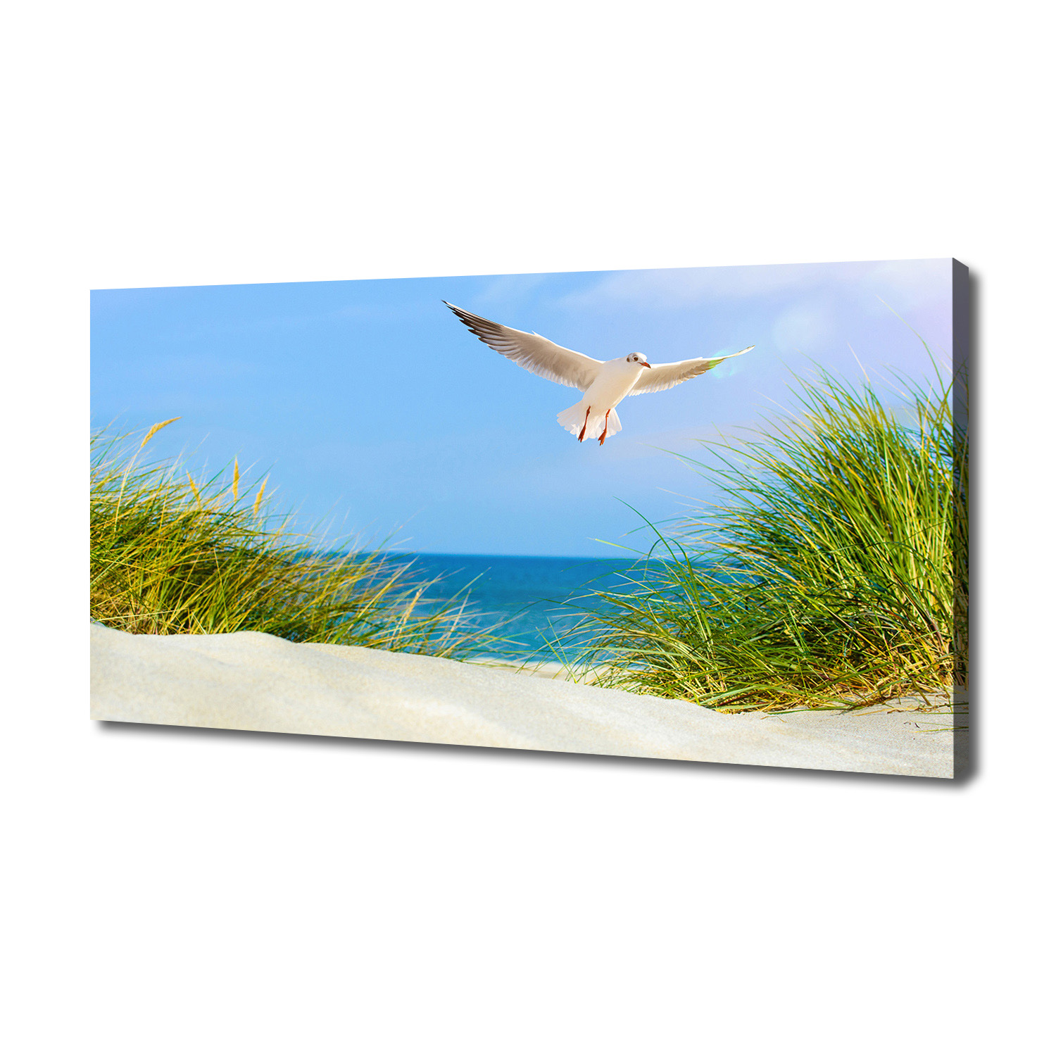 

Foto obraz na płótnie Mewa na plaży 140x70 cm