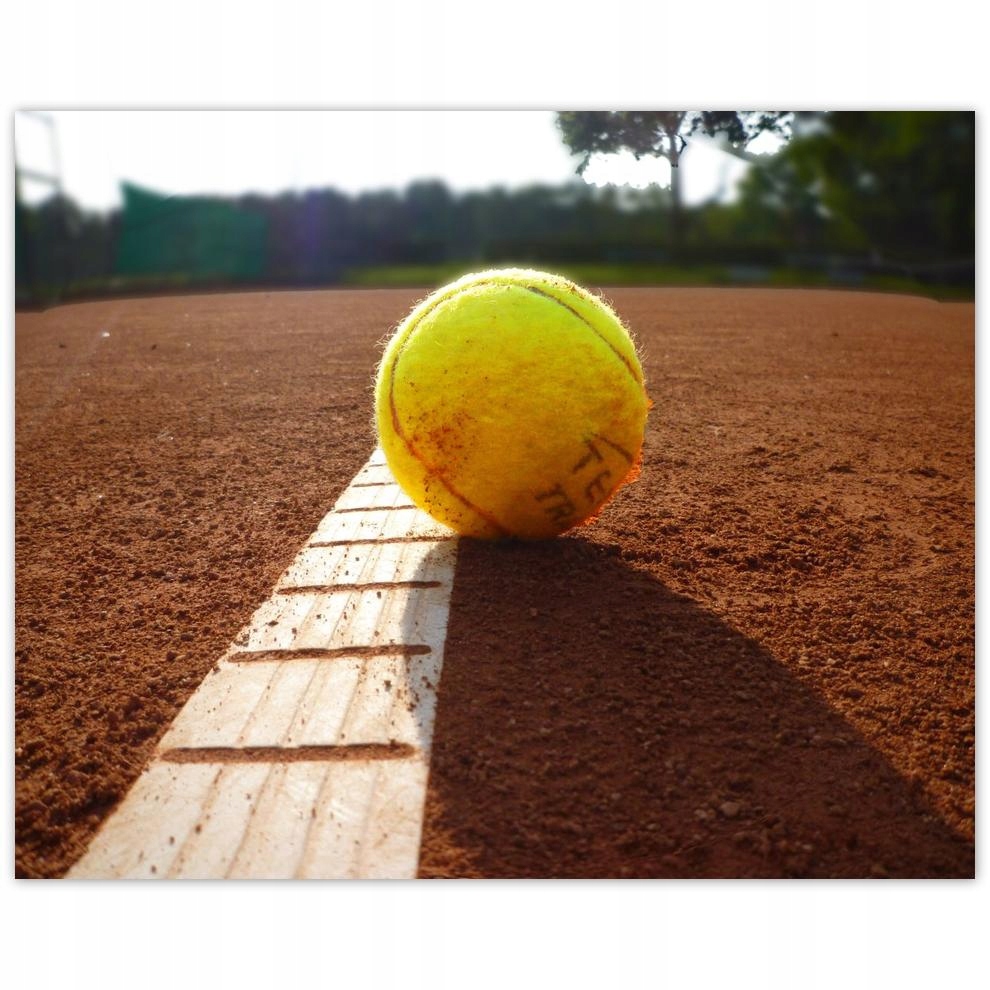 

Plakat 50x40 Piłeczka tenisowa Tennis