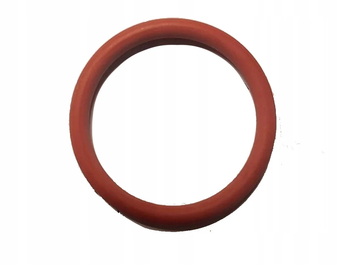 Saeco uszczelka zaparzacz 34x3