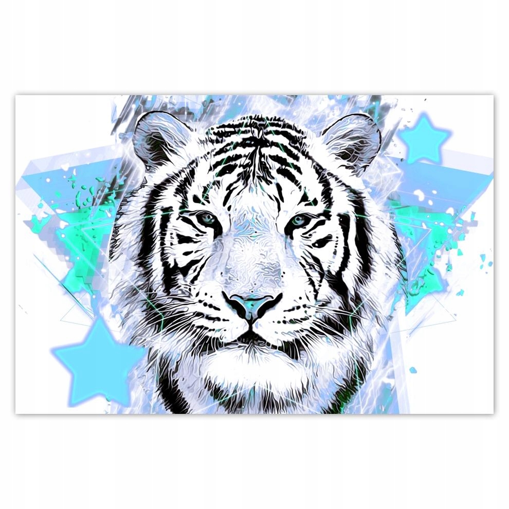 

Plakaty 60x40 Tygrys gwiazdki turkus