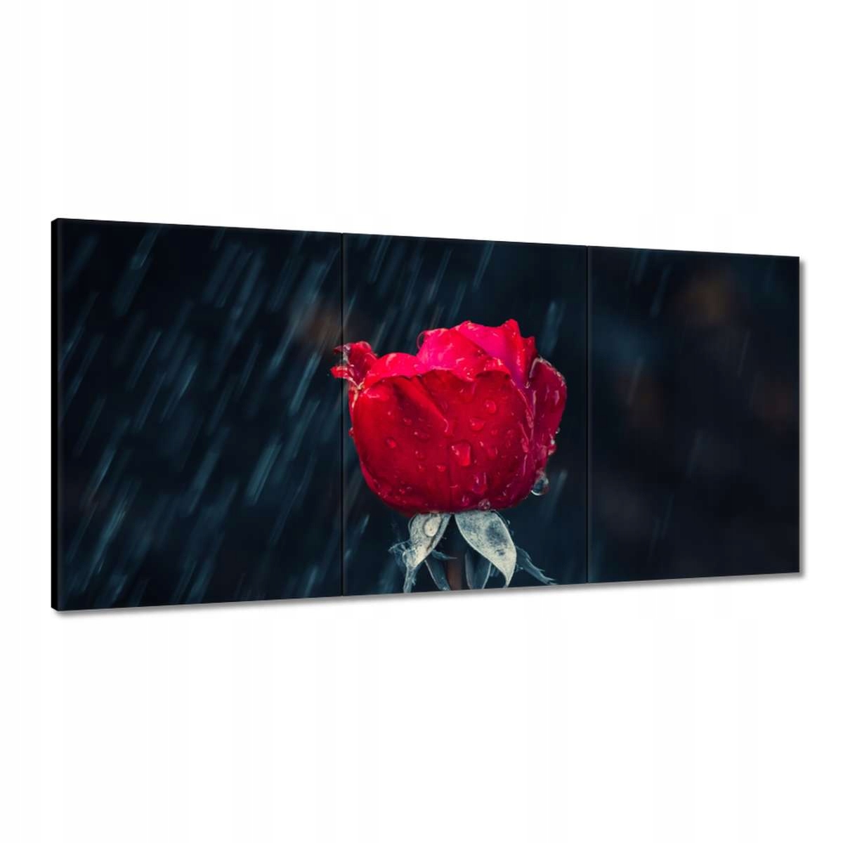 Obrazy 180x90 Ruža Kvet Kvety Ruže