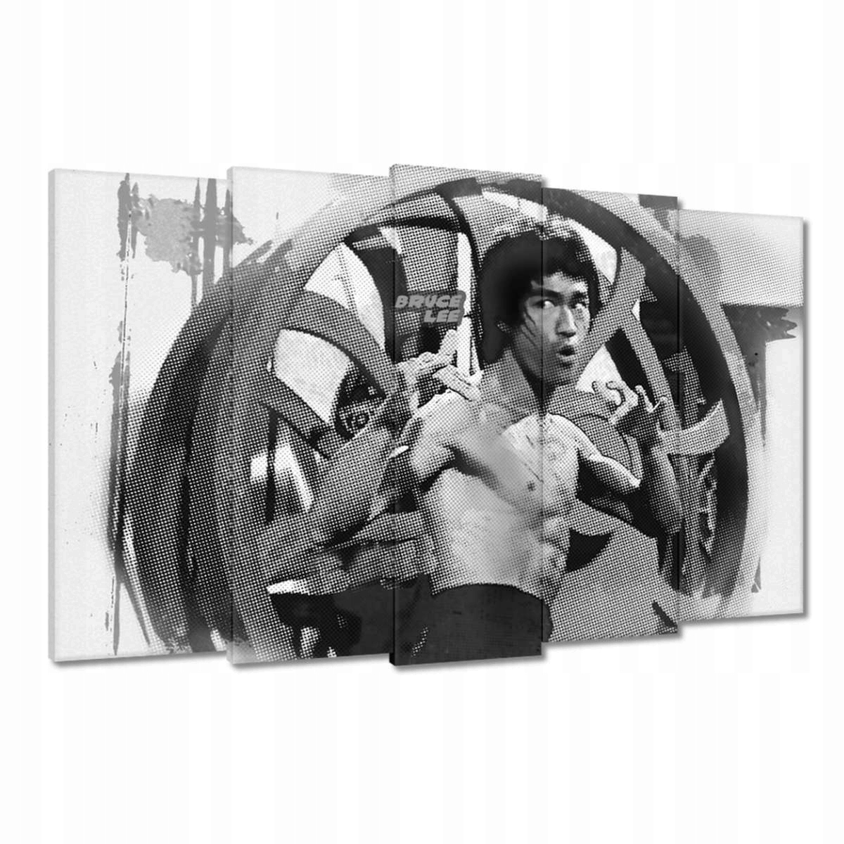 Obrazy 150x95 Bruce Lee Karateka