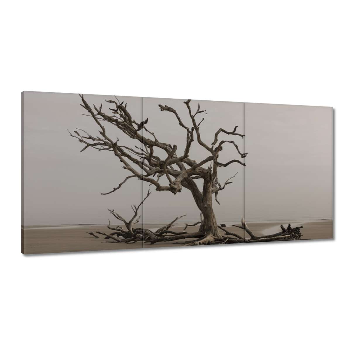 Obrazy 180x90 Strom Stromy Pohľad