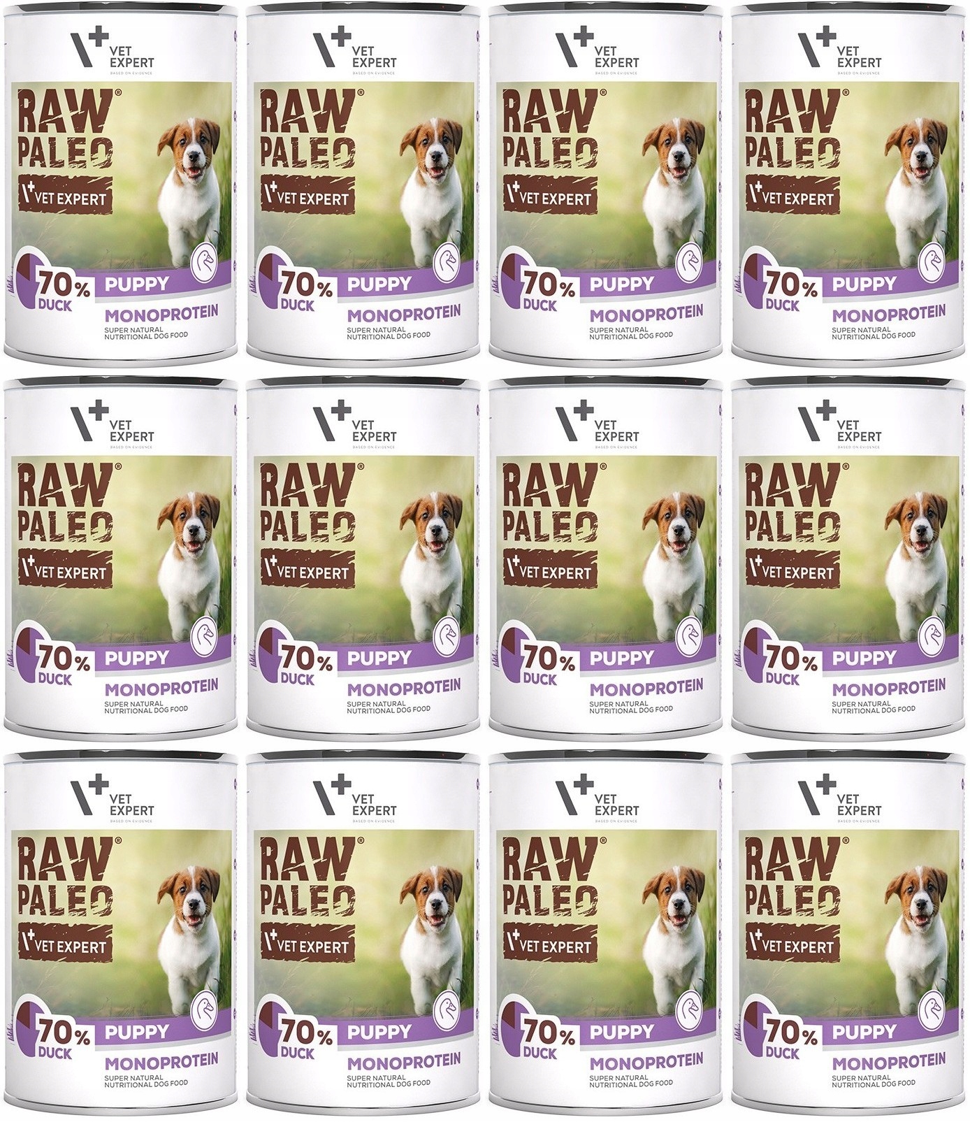 Levně VetExpert Raw Paleo štěněcí kachna 12 x 400 g