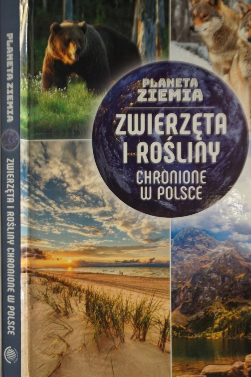 Zwierzęta I Rośliny Chronione W Polsce Karolina Matoga
