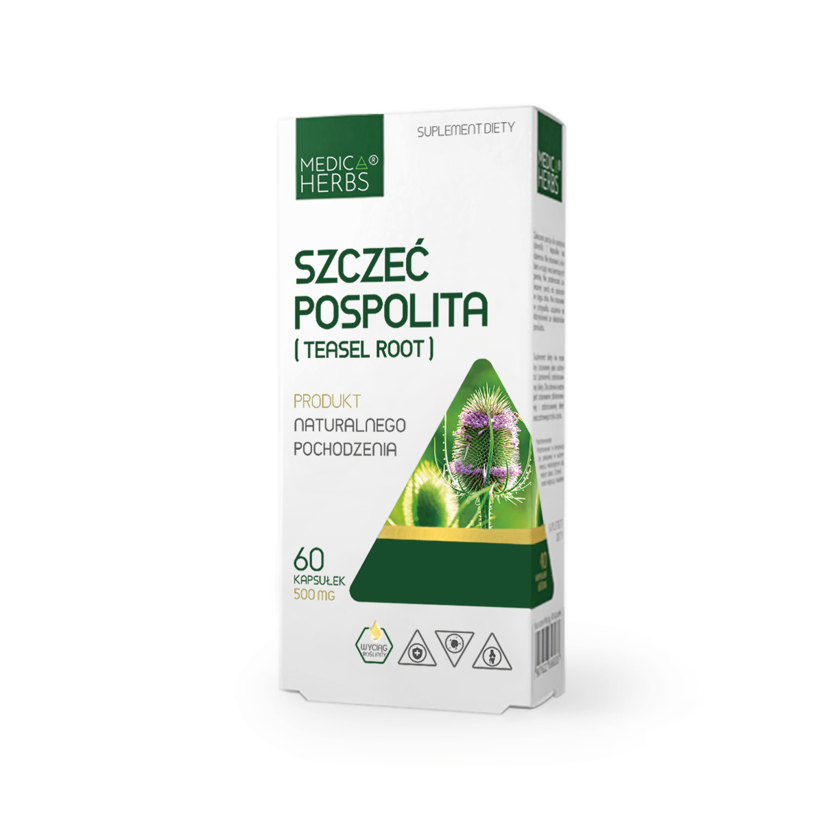 

Korzeń Szczeci na Boreliozę skuteczna Szczeć Mocna