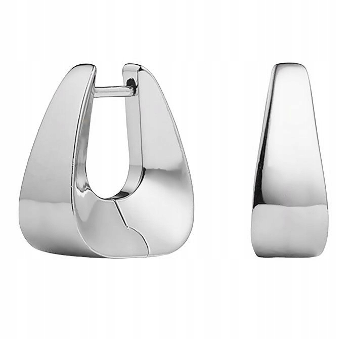 Stříbrné náušnice Ag 925 kroužky IM0210724ER