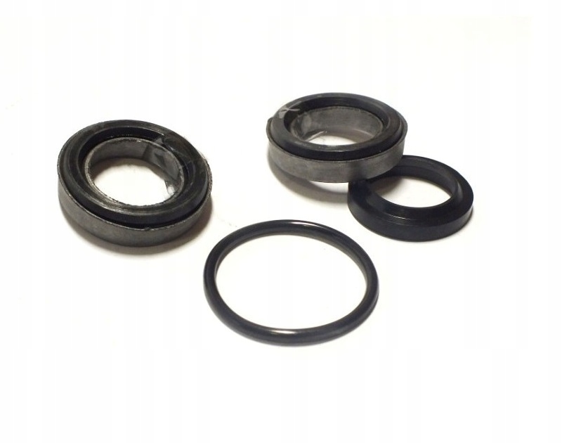 Zestaw uszczelek siłownika nagarniacza BIZON K-374