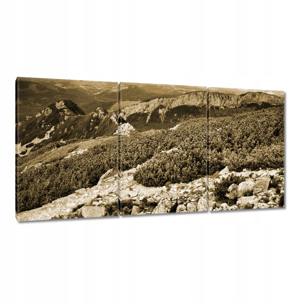

Obrazy 120x60 Tatry Polskie góry Widok