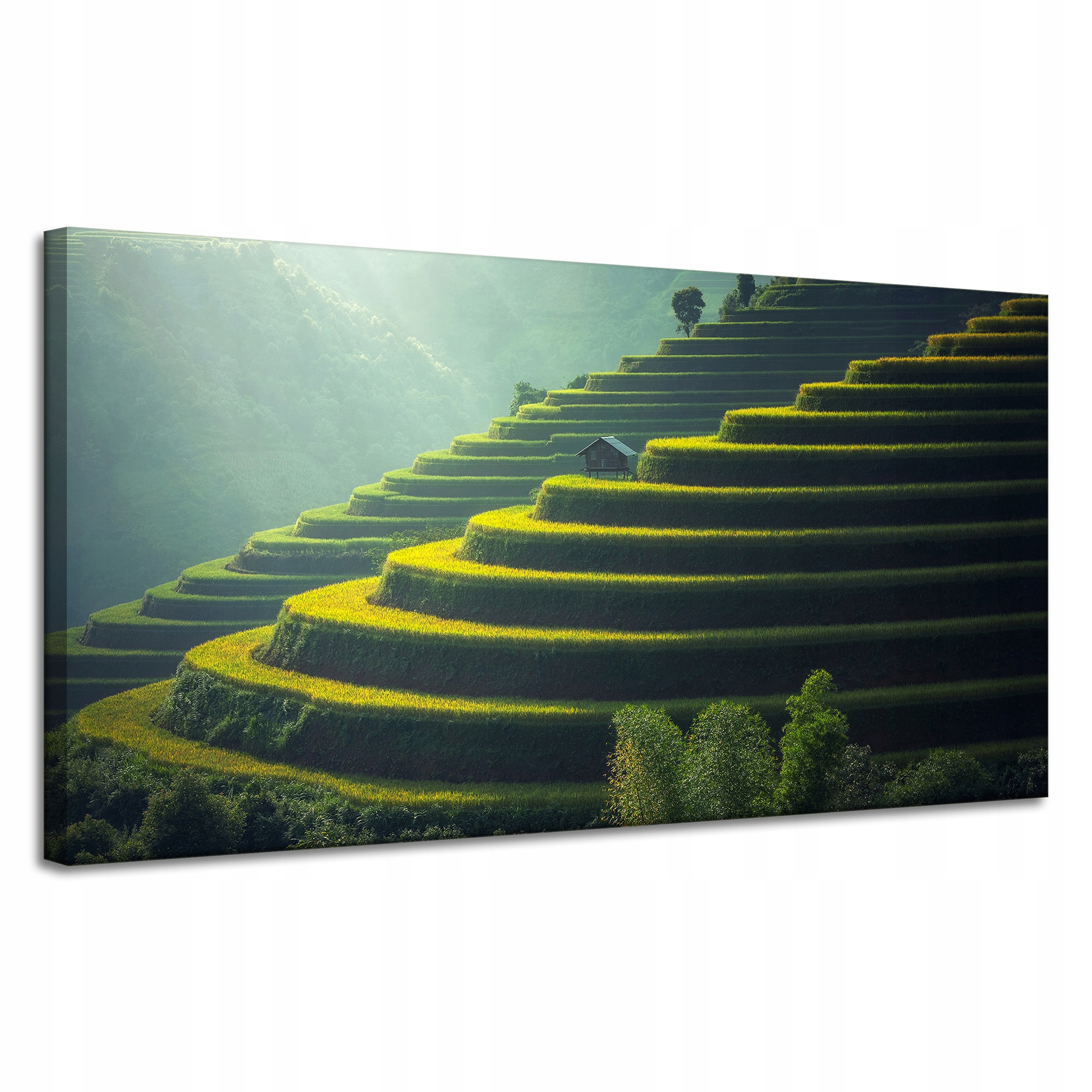 Obraz Canvas Příroda Krajina Rolní terasy 120x60