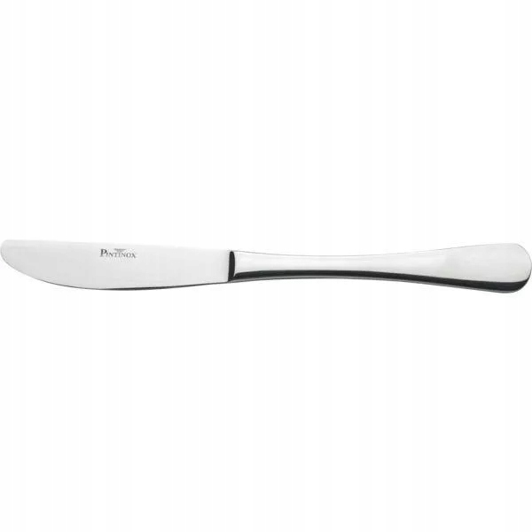 Nůž jídelní Pintinox Solaris 21 cm,