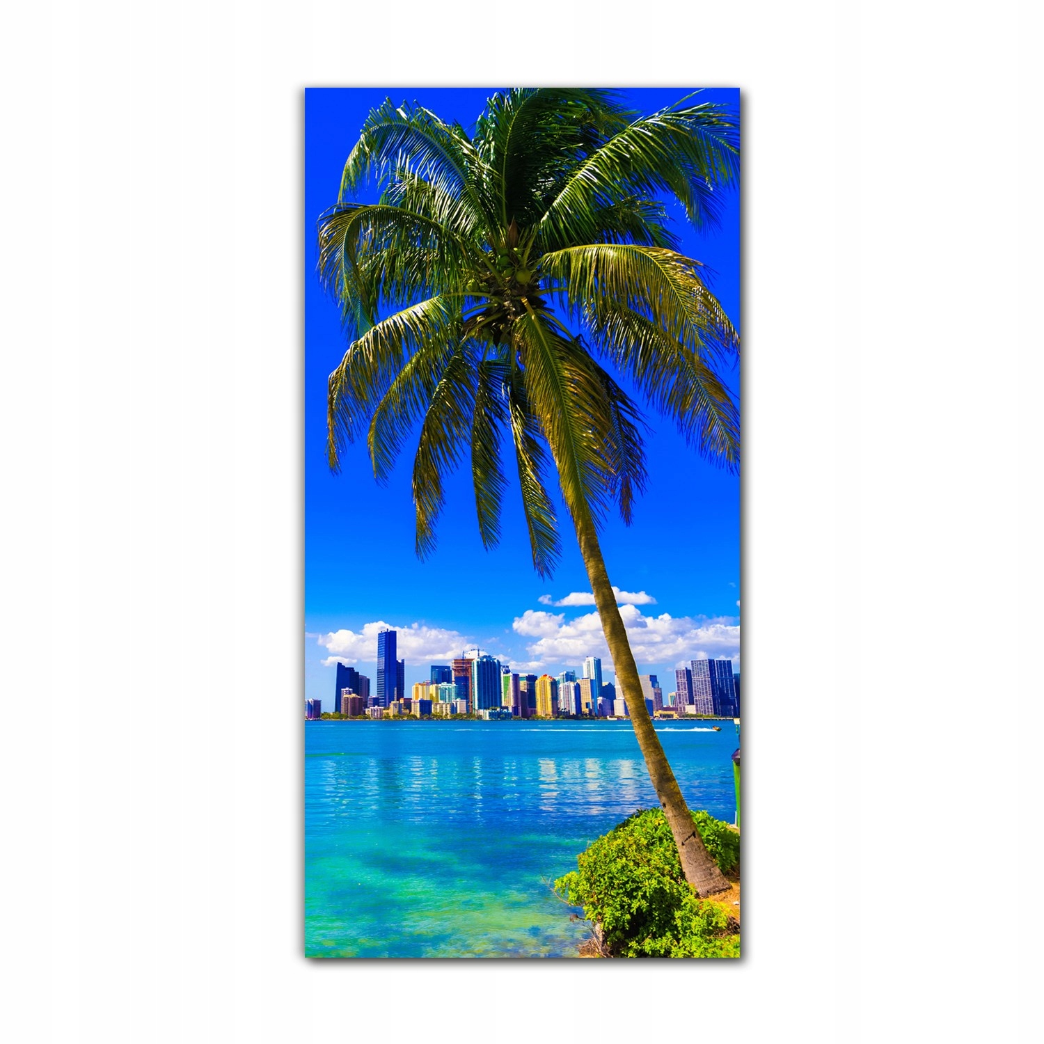 

Foto-obraz szklany do salonu 70x140 Horyzont Miami